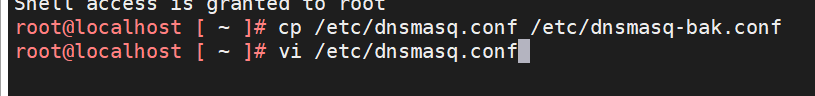 编辑 dnsmasq.conf 1