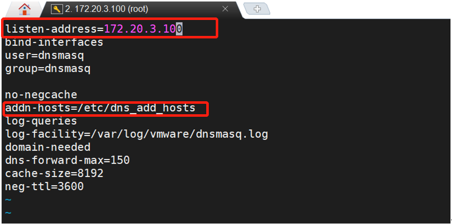 编辑 dnsmasq.conf 2
